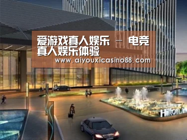 案例展示二